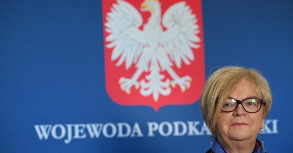 zdjęcie: Wojewoda podkarpacki wydała decyzję ZRID dotyczącą odcinka S19 Domaradz-Krosno / fot. PAP