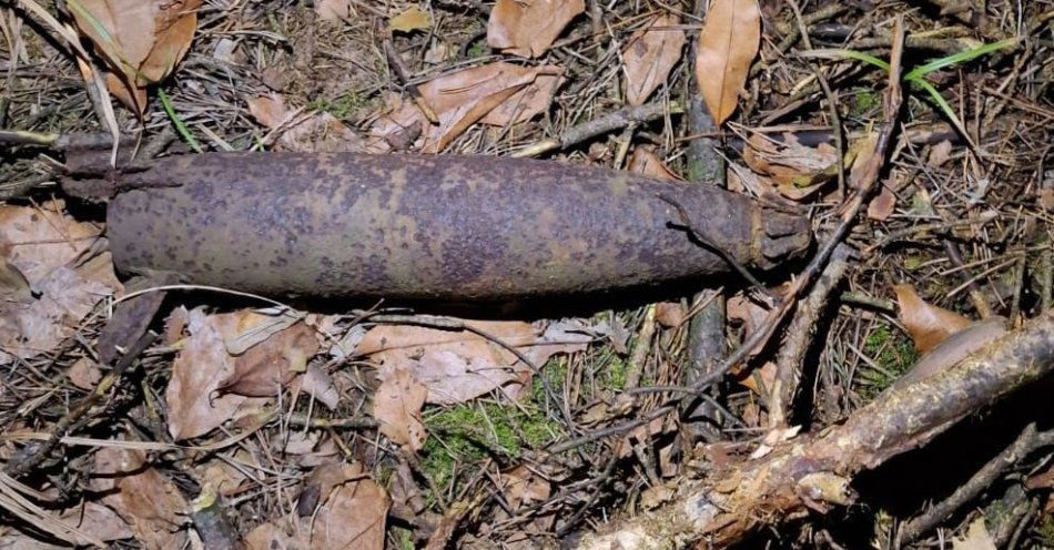 zdjęcie: Niewybuch w lesie w Bonowie znaleziony przez turystów / fot. KPP Puławy