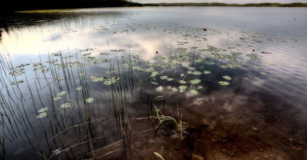 Olsztyn ma kolejne jezioro; nie było go co najmniej kilkadziesiąt lat