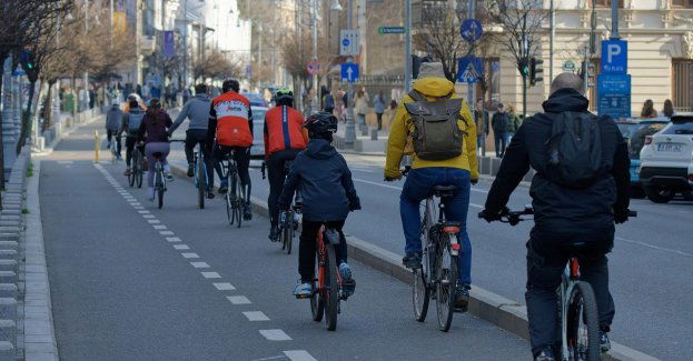 W. Cimoszewicz oskarżony o potrącenie rowerzystki; sąd chce uzupełniającej opinii biegłych