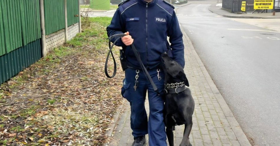 zdjęcie: Dukat nowym psem patrolowo tropiącym w KPP Dąbrowa Tarnowska / fot. KMP w Dąbrowie Tarnowskiej