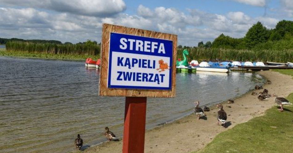 zdjęcie: Grudziądzkie plaże otwarte dla psów / fot. UM Grudziądz