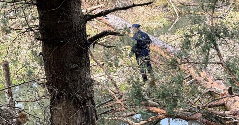 zdjęcie: Trwa poszukiwanie Teresy Bielańskiej z Dubiecka / fot. KMP w Przemyślu fot. KMP Przemyśl