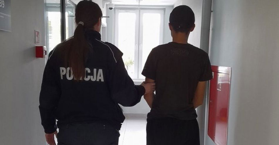 zdjęcie: Ukradł samochód, czuł się bezkarny – został zatrzymany przez policjantów / fot. KPP w Pruszczu Gdańskim