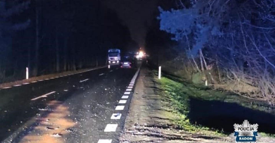zdjęcie: Zderzenie pojazdów na DK 9 / fot. KMP w Radomiu