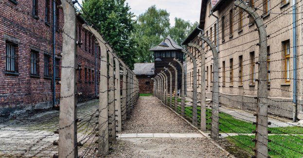 Otwarto wystawę poświęconą Stanisławie Leszczyńskiej - położnej z Auschwitz