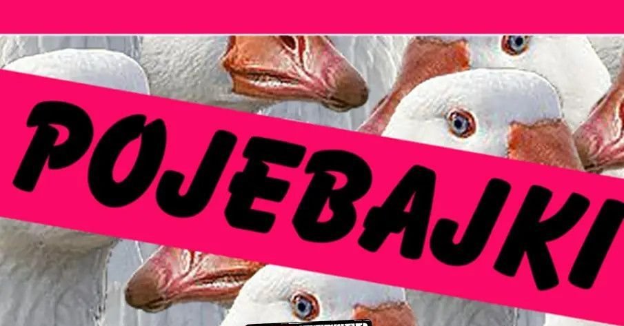 zdjęcie: Pojebajki - czyli późne wieczorynki dla dorosłych / kupbilecik24.pl / Pojebajki - czyli późne wieczorynki dla dorosłych
