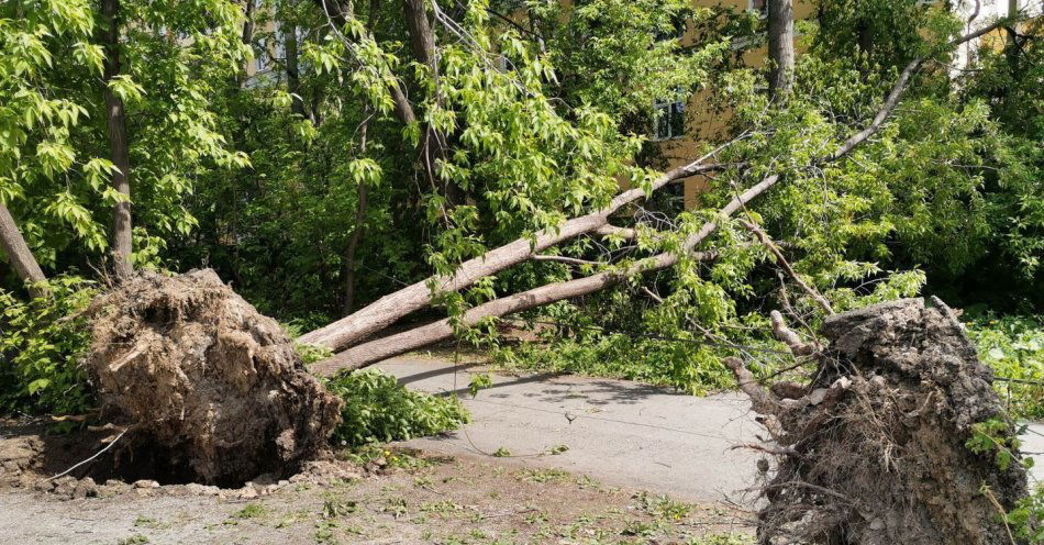 zdjęcie: W środę trwa sprzątanie po nawałnicy, która przeszła nad Wieruszowem / v66035503