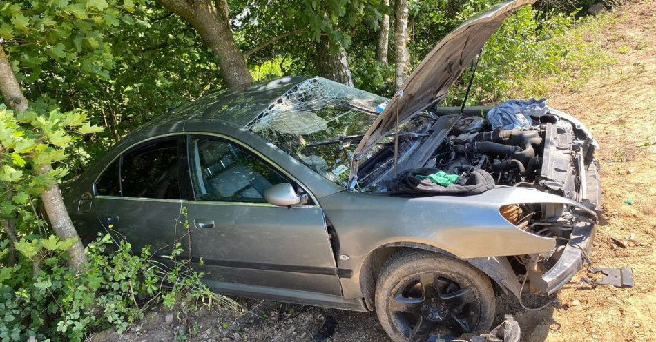 zdjęcie: Uderzył peugeotem w drzewo. Kierowca i pasażerka nietrzeźwi / fot. KPP w Mławie