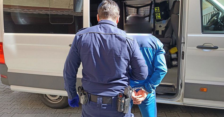 zdjęcie: Za znęcanie się trafił do aresztu / fot. KPP Wrzesnia