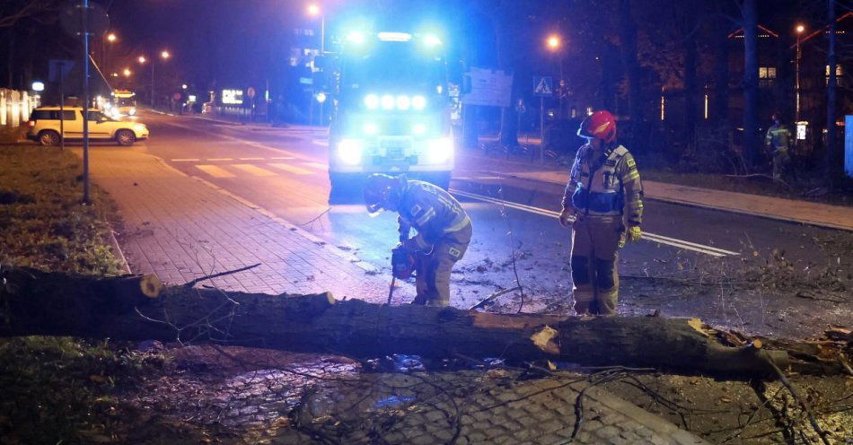 zdjęcie: W piątek 1818 zdarzeń związanych z usuwaniem skutków silnego wiatru oraz podtopień / fot. PAP