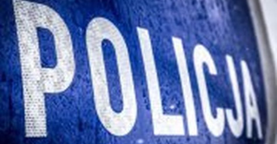 zdjęcie: Punkty karne po nowemu / fot. KPP w Kozienicach