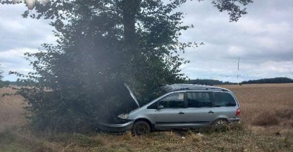 zdjęcie: Śmiertelny wypadek na DK-48 / fot. KPP Ryki