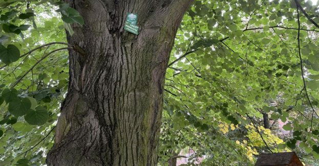 Rajd rowerowy Szlakiem pomników przyrody