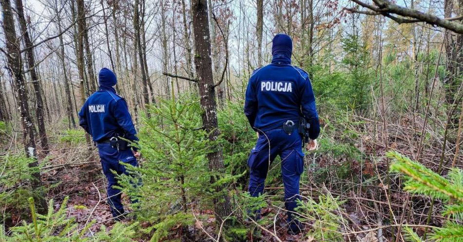 zdjęcie: Policyjne patrole przeciwko nielegalnej wycince choinek / fot. KPP Sokółka