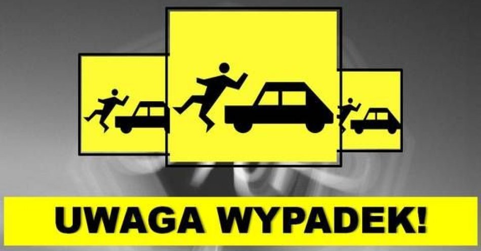 zdjęcie: Wypadek z udziałem nietrzeźwego pieszego / fot. KMP w Radomiu