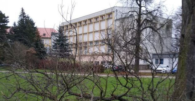 Walka o drzewa przy prestiżowym liceum