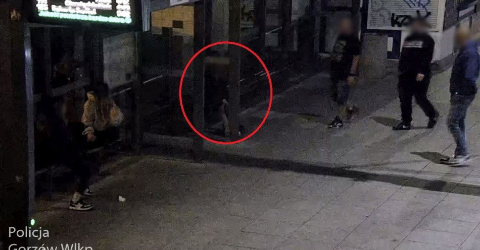 zdjęcie: Policjanci szukali zaginionej dziewczynki. Pomógł miejski monitoring / fot. KMP Gorzów Wielkopolski