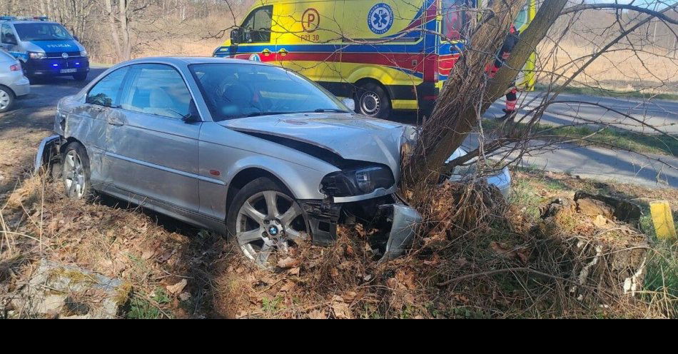 zdjęcie: 22 latek rozbił BMW o drzewo Apel policji o ostrożność / fot. KPP Krosno Odrzańskie