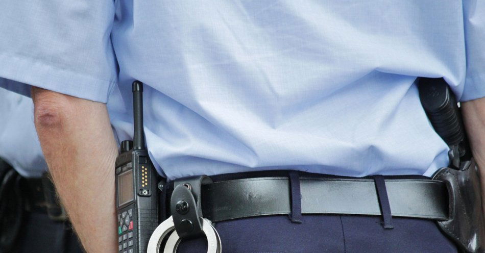 zdjęcie: Jaworscy policjanci zatrzymali kolejnych nielegalnych imigrantów / pixabay/378255
