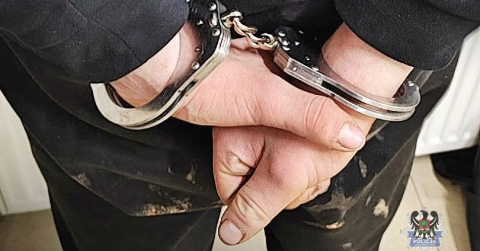 zdjęcie: Czterech zatrzymanych od wczorajszego popołudnia poszukiwanych. Wszyscy trafili za kraty aresztu śledczego / fot. KMP w Wałbrzychu