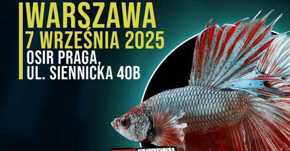 zdjęcie: Targi Akwarystyczne / kupbilecik24.pl / Targi Akwarystyczne