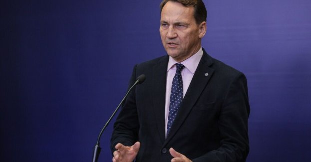 Sikorski wezwał ambasadora Izraela w Polsce do MSZ w związku z niedzielnym wpisem Jad Waszem