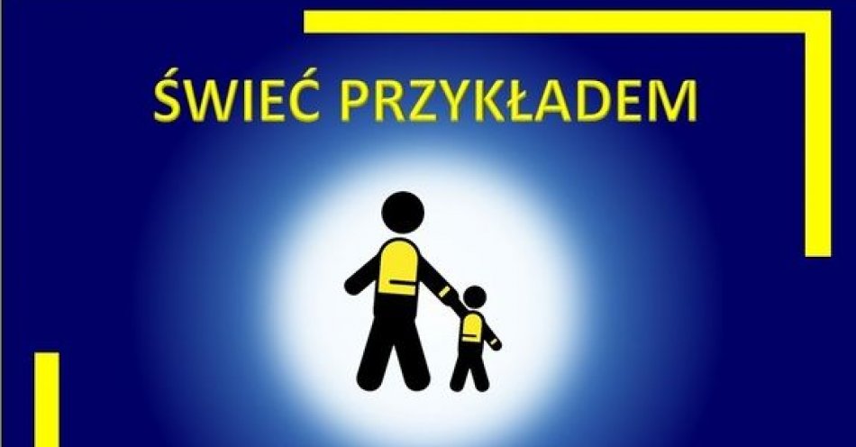 zdjęcie: Bezpieczeństwo pieszego / fot. KPP w Węgrowie