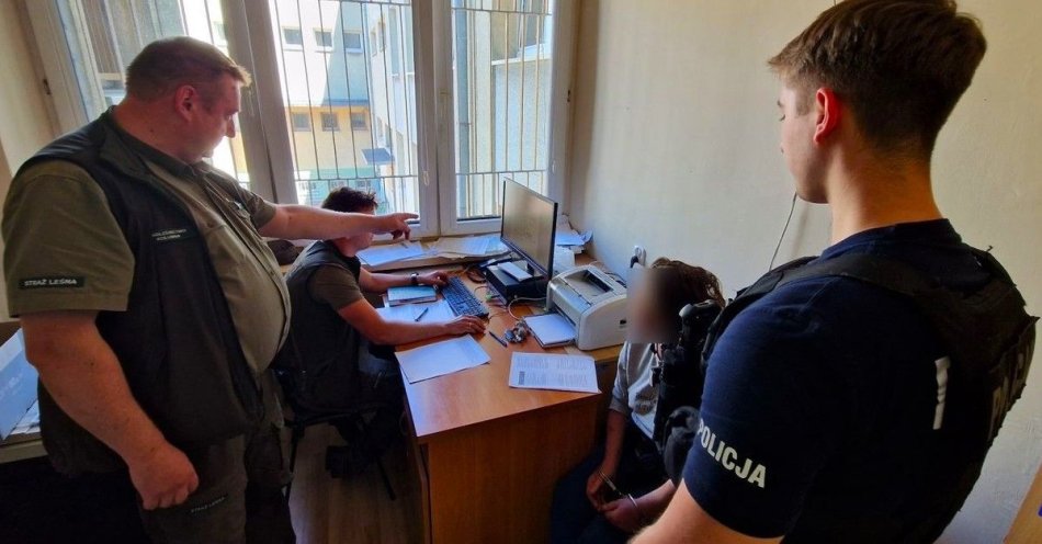 zdjęcie: Wycinali i kradli drzewa z lasu, wpadli na gorącym uczynku / fot. KPP w Pabianicach