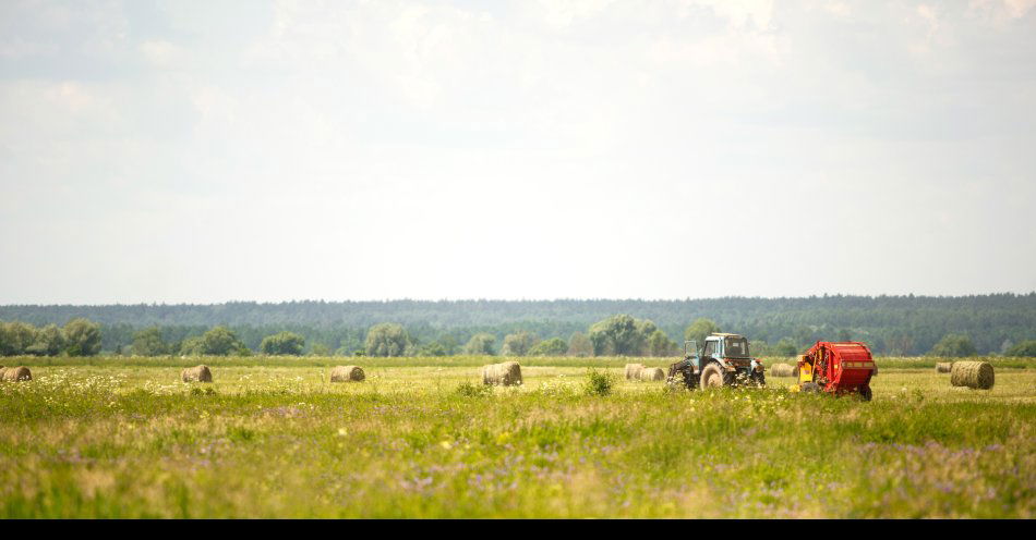 zdjęcie: Chcemy jak najszybciej wprowadzić ustawę Aktywny Rolnik / x7184546