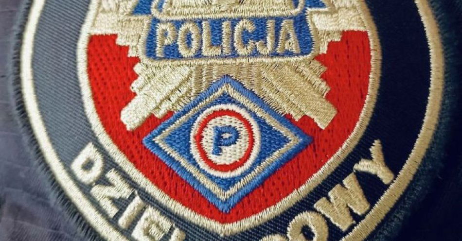 zdjęcie: 33 latek zatrzymany z narkotykami w parku na Pomorzanach / fot. KMP w Szczecinie