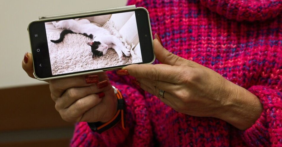 zdjęcie: Ostrów Wlkp.: matka 7-letniej dziewczynki skazana za pozwolenie córce na znęcanie się nad kotem / Ostrów Wielkopolski, 29.01.2026. Anna Małecka z kaliskiego Stowarzyszenia Help Animals na sali Sądu Rejonowego w Ostrowie Wielkopolskim, 29 bm. Rusza proces ws. znęcania się nad zwierzęciem, kotem Kacperkiem. Nagranie, na którym widać jak kilkuletnia dziewczynka najpierw z całej siły rzuca półrocznym kotem do basenu z piłkami, a następnie, trzymając go za tylne łapy, kręci się dookoła własnej osi trafiło do Internetu. Matka, która nagrywała całe zdarzenie, śmiała się, zamiast interweniować.  (ad