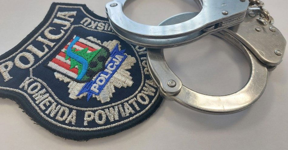 zdjęcie: Sześć osób zatrzymanych w Nisku podczas akcji Poszukiwany / fot. KPP w Nisku fot.: KPP w Nisku