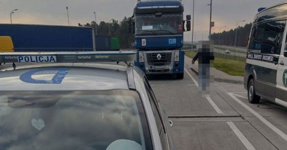 zdjęcie: Kierował ciężarówką mimo zakazu, a policjantom okazał ukraińskie prawo jazdy / fot. KPP Puławy