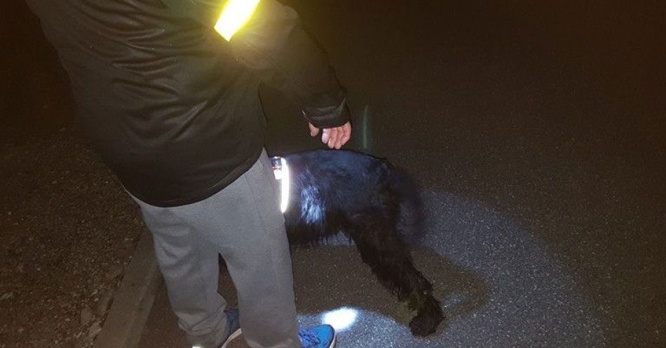 zdjęcie: Po zmroku bądź widoczny Odblaski ratują bezpieczeństwo / fot. KPP w Kłodzku