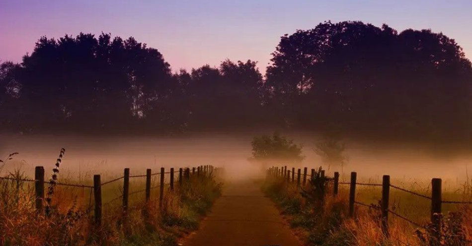 zdjęcie: Na rozstajnych drogach. Opowieści o demonach słowiańskich / kupbilecik24.pl / Na rozstajnych drogach. Opowieści o demonach słowiańskich