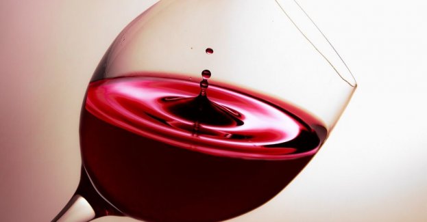 Kolejne działania prokuratury w walce z nielegalnym reklamowaniem alkoholu w internecie przez celebrytów