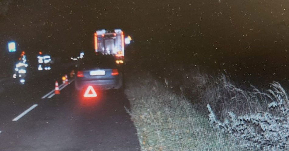 zdjęcie: Zderzenie z łosiem w Nadrybiu Wieś Audi uderzyło w drzwi / fot. KPP Łęczna