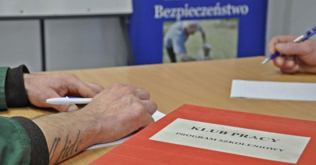 Za wysokim murem o tendencjach na rynku pracy