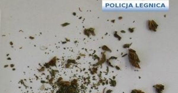 Kierował po narkotykach i z narkotykami