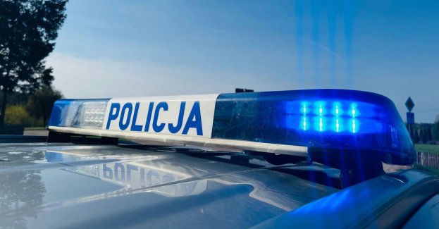 Poszukiwany za kradzieże wpadł, gdy spacerował z psem