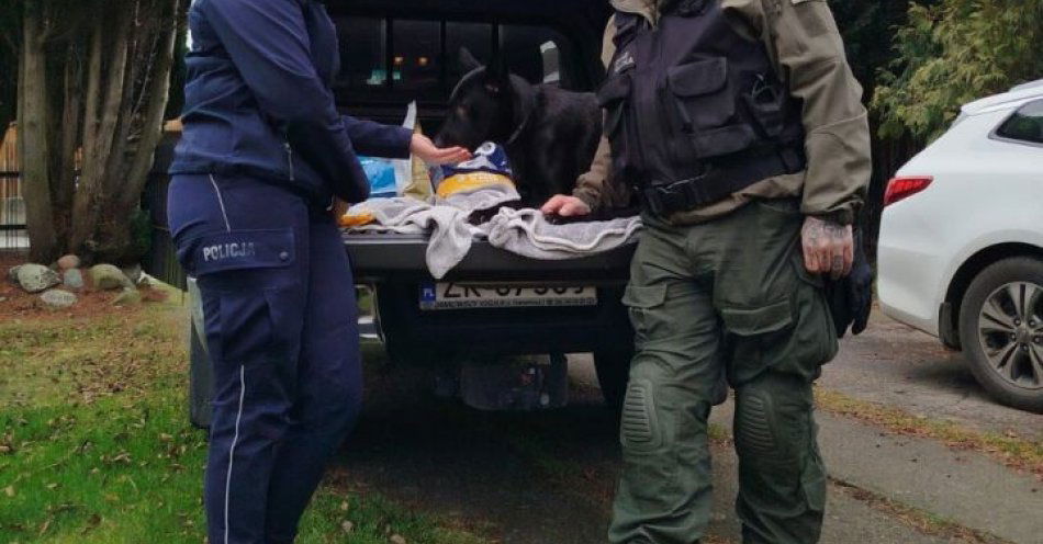 zdjęcie: Policjanci pomagają bezdomnym zwierzętom i przypominają o empatii / fot. KPP w Kołobrzegu