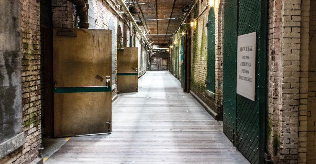 Kolejni zatrzymani "na koncie" policyjnych poszukiwaczy