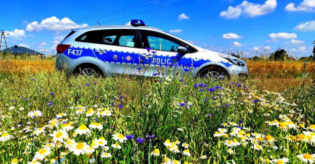 Przed nami długi weekend - zaplanuj go bezpiecznie