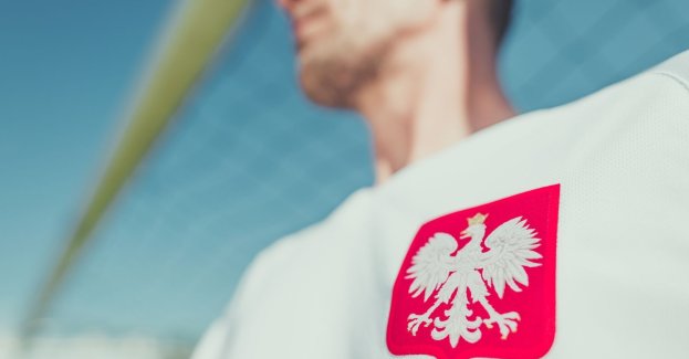 Reprezentacja siatkarzy 12 lipca zagra w Olsztynie towarzyski mecz z Iranem