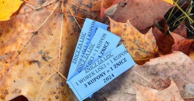 Akcja ZNICZ ZA LIŚĆ