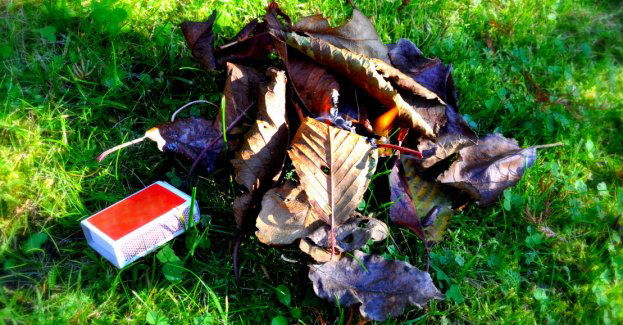 Nie spalaj, są lepsze sposoby na jesienne porządki