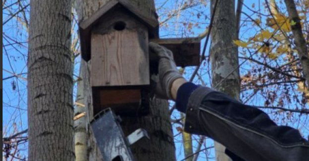 Ptasi porządek i naukowa ciekawość. Wrocław przygotowuje budki lęgowe na nowy sezon