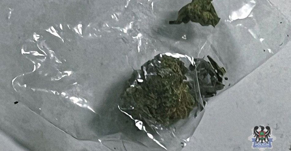 zdjęcie: Zatrzymano dwie osoby z marihuaną Jeden to poszukiwany nastolatek / fot. KMP w Wałbrzychu