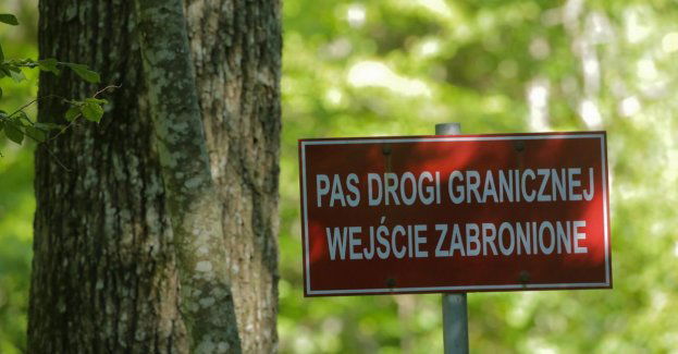 45 osób próbowało w sobotę nielegalnie przekroczyć granicę z Białorusią